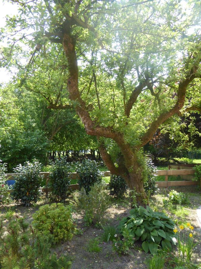 Ferienwohnung Elise Im Gulfhof Am Kanal Grossefehn Luaran gambar
